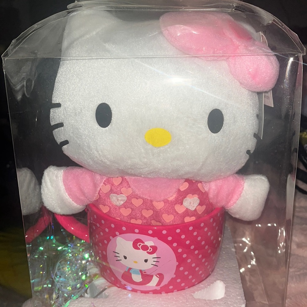 Hello Kitty Sanrio backpack inside mug/bowl